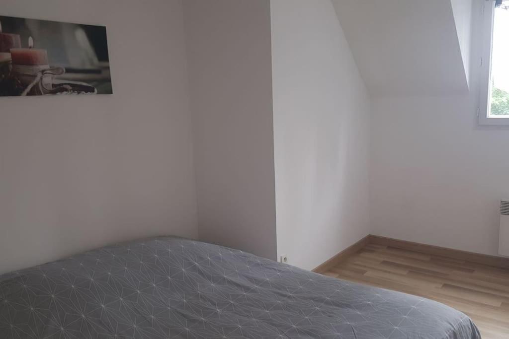 Logement Plein Centre De Plerin A Proximite Des Plages Et Des Commerces エクステリア 写真