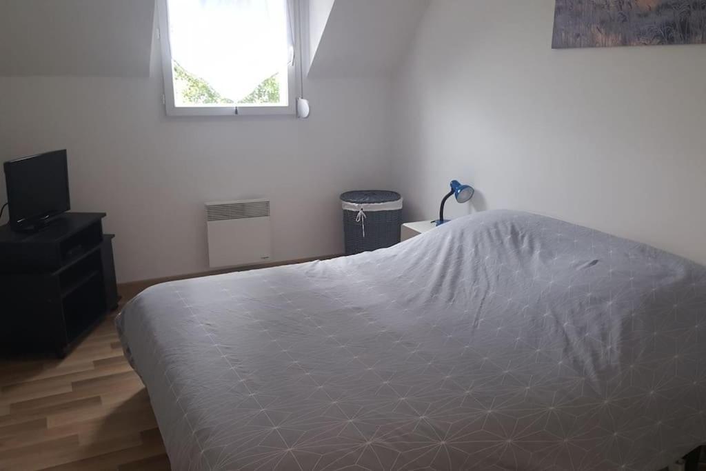Logement Plein Centre De Plerin A Proximite Des Plages Et Des Commerces エクステリア 写真