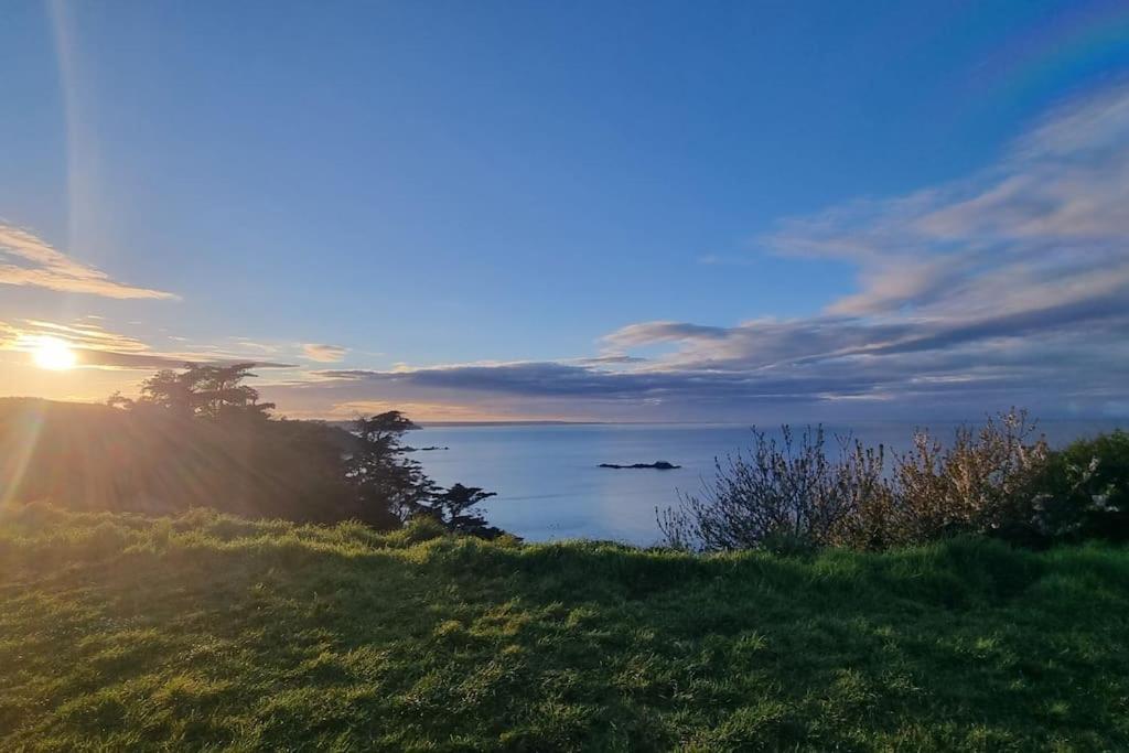Logement Plein Centre De Plerin A Proximite Des Plages Et Des Commerces エクステリア 写真